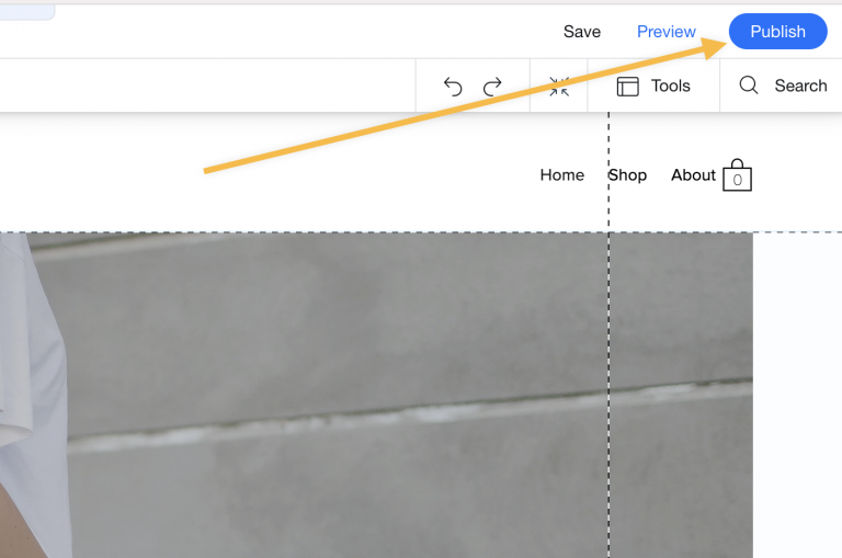 Screenshot from How to change the "Add to cart" button to "View on Amazon"?